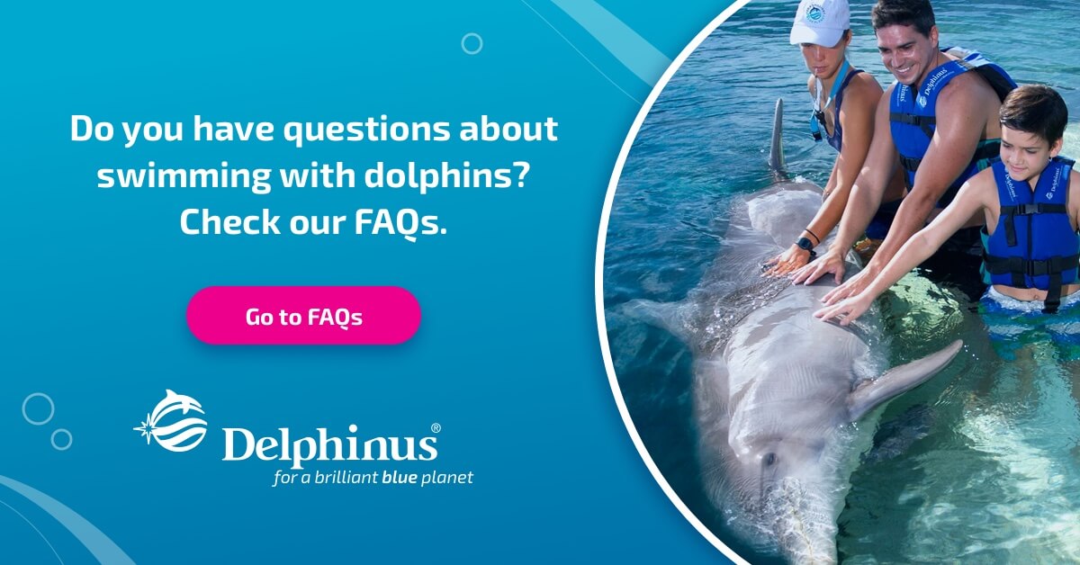 Frequently Asked Questions Delphinus